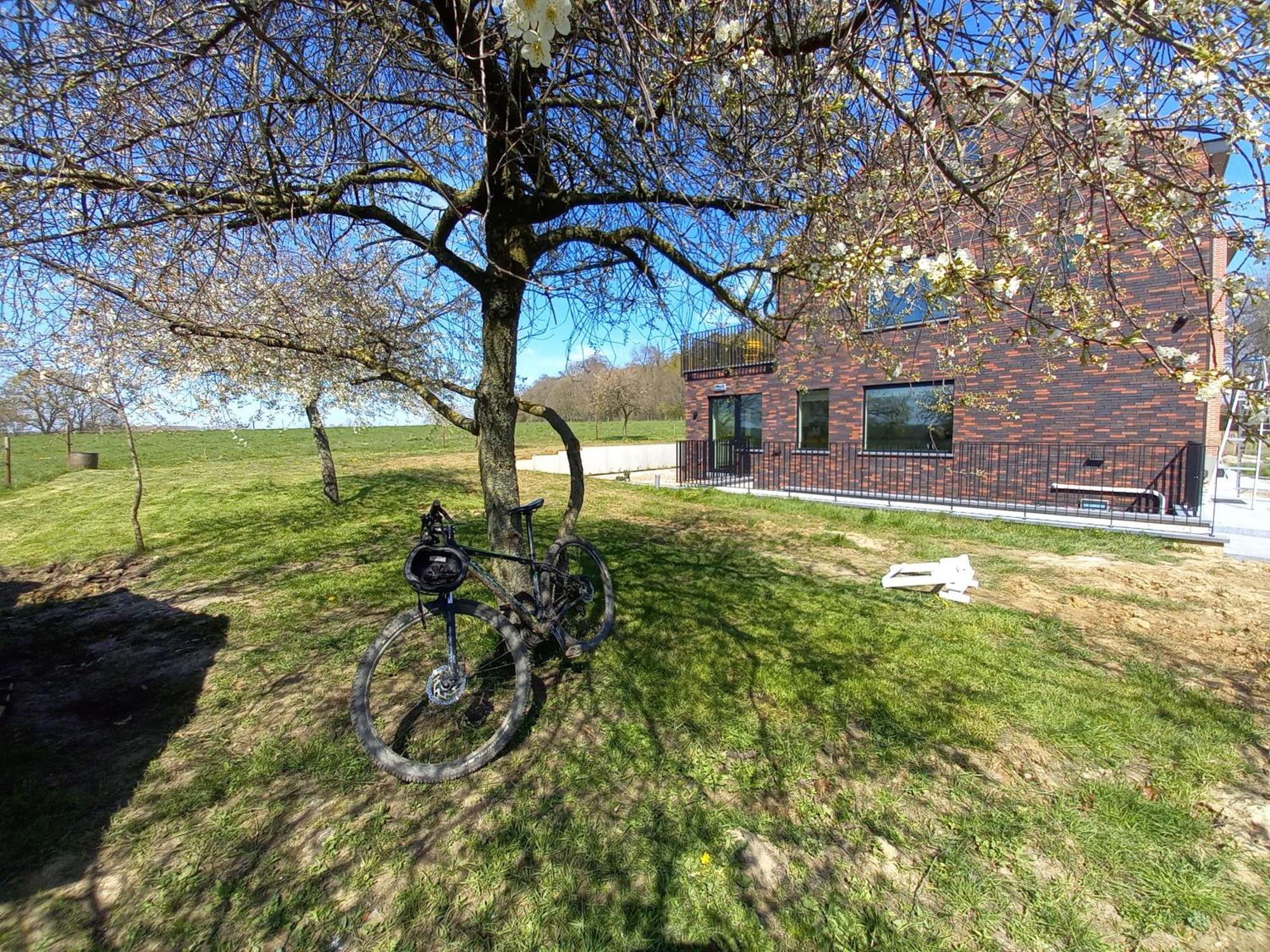 Trionfo Bed & Breakfast Gaasbeek Bagian luar foto